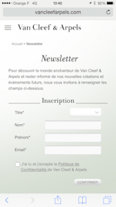 Van Cleef Arpels luxury window shopping - the myndset digital strategy