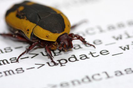 Computer bug, Lessons for Business, The Myndset digital marketing brand strategy