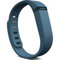 Fitbit Flex - the myndset digital marketing