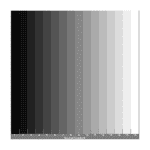 Gray Scale