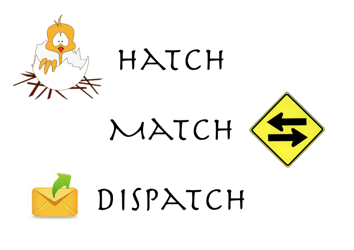 Hatch Match Dispatch - The Myndset Digital Marketing Strategy