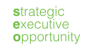 Strategic Executive - the myndset digital marketing brand strategy