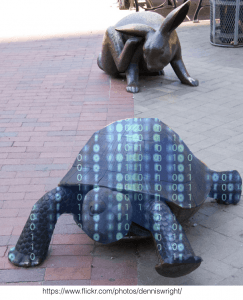 digital tortoise versus digital hare