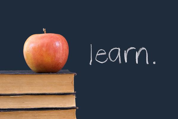 "learn" written on blackboard, the Myndset Digital Marketing