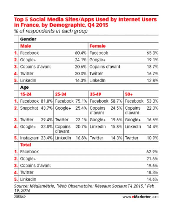 social-media-in-france-usage