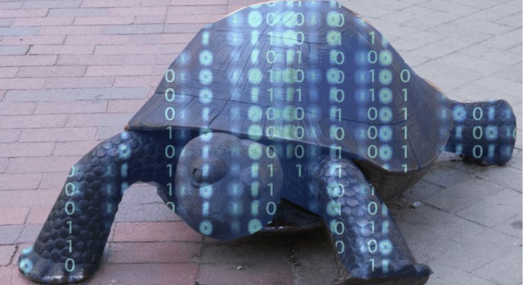 The Digital Tortoise or Hare? Is It Better To Be Fast or Consistent?