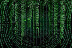 brand disruption data