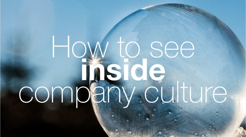 company culture transaparency