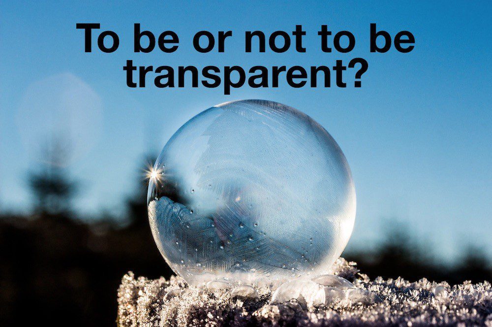 Should You Lift The Veil for the Sake of Transparency?