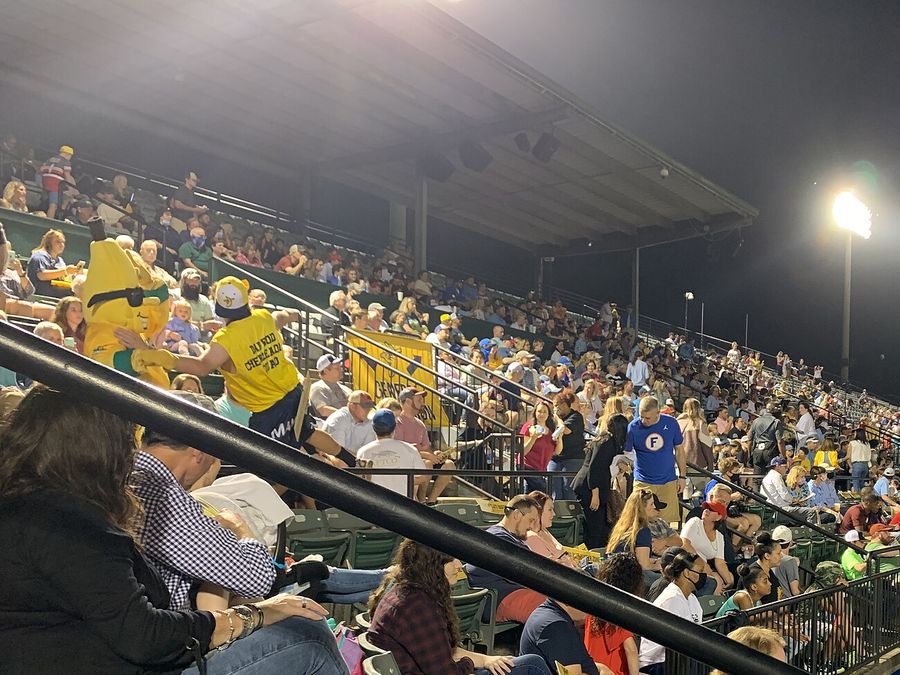 Savannah Bananas fans in yellow packing the stands at a night game, with the team's banana mascot in the crowd
